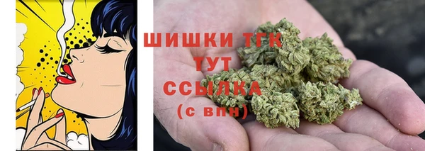индика Нефтегорск