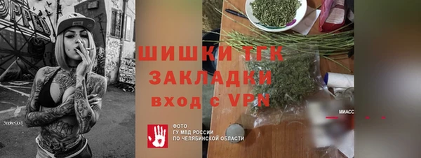 шишки Нея