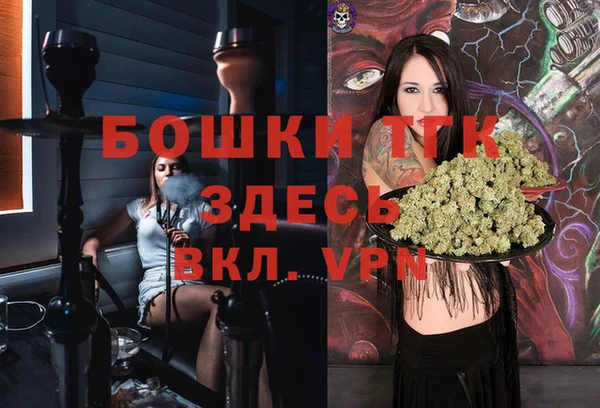 шишки Нея