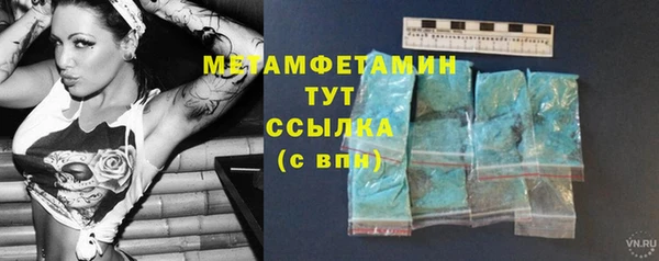 шишки Нея