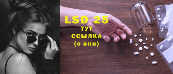 шишки Нея