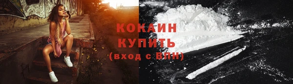 индика Нефтегорск
