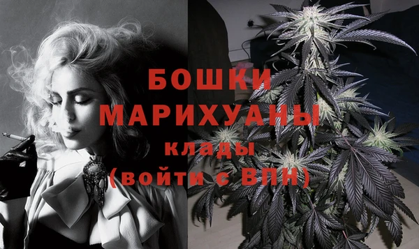 индика Нефтегорск