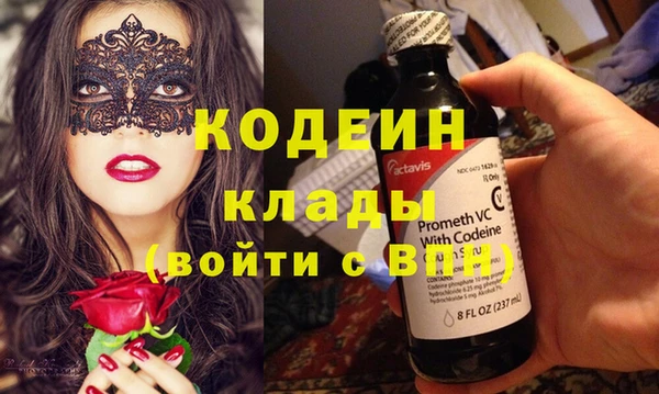 шишки Нея