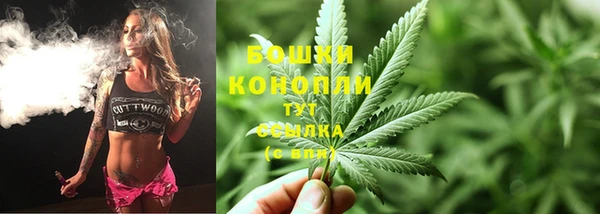 индика Нефтегорск