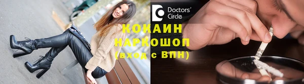 шишки Нея