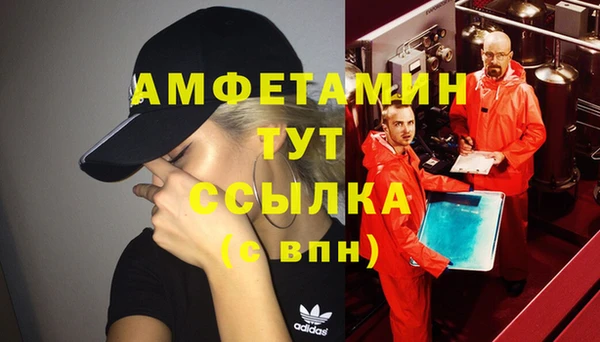 шишки Нея