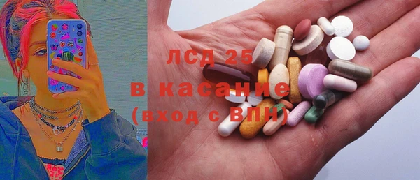шишки Нея