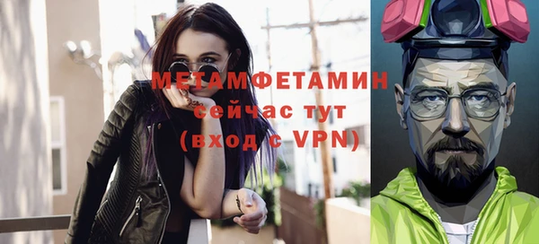 шишки Нея