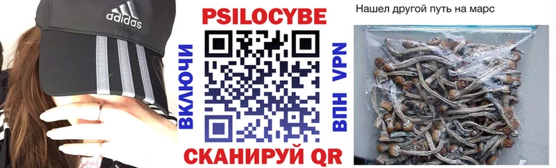 Псилоцибиновые грибы Cubensis  Тамбов 